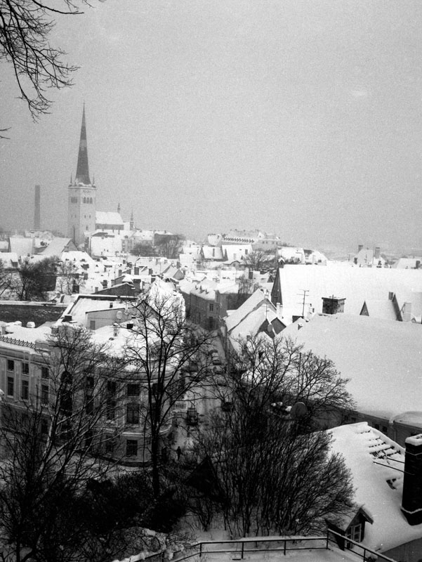 View Over Tallinn